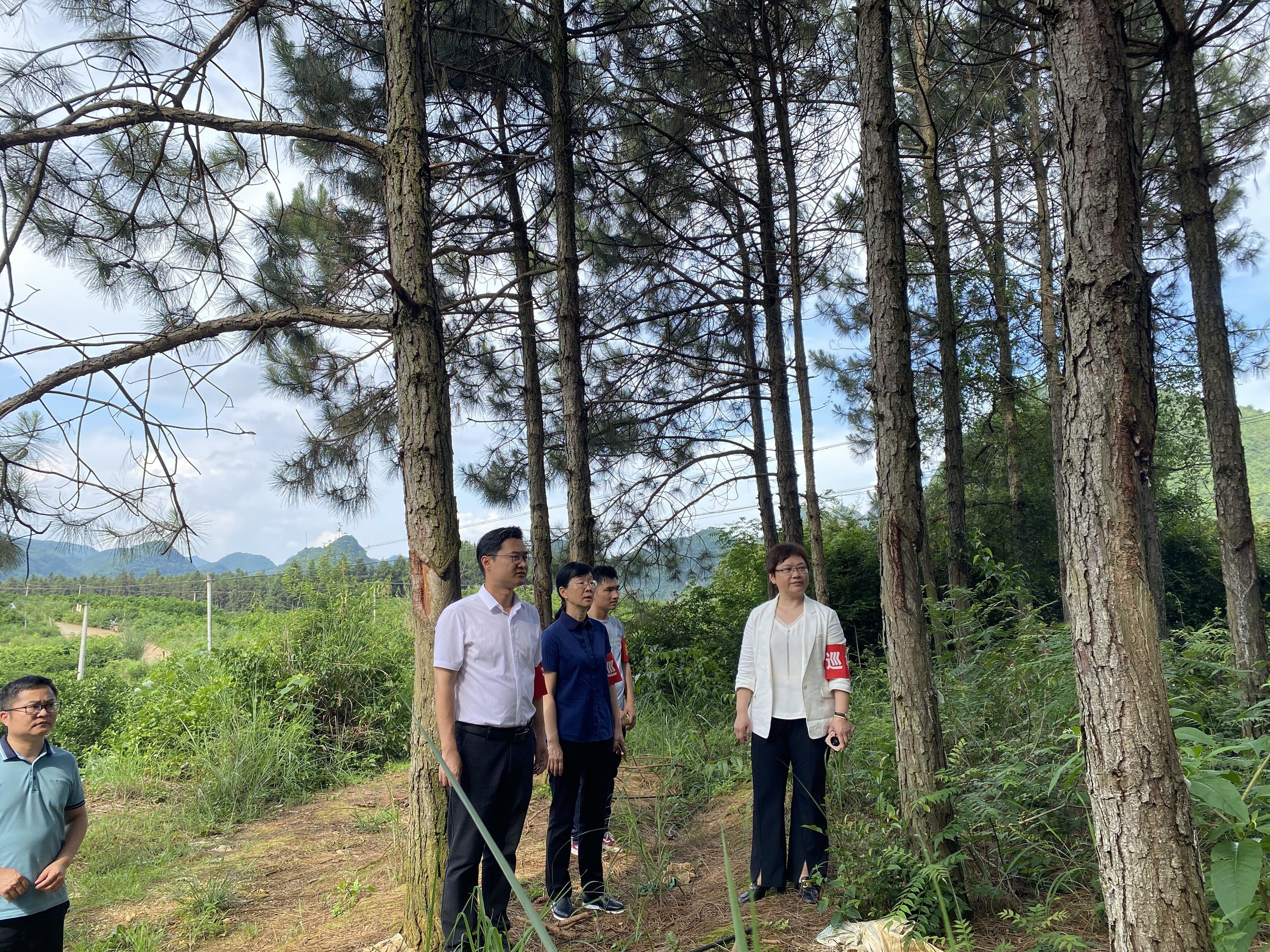 在狮形村狮形水库,唐琼艳详细了解了河长制落实,防